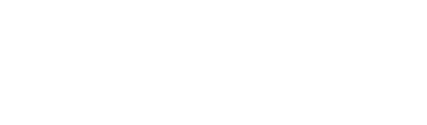Archvins International